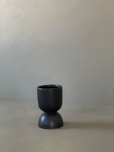 ROY POT