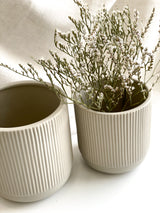 HALO PLANTER